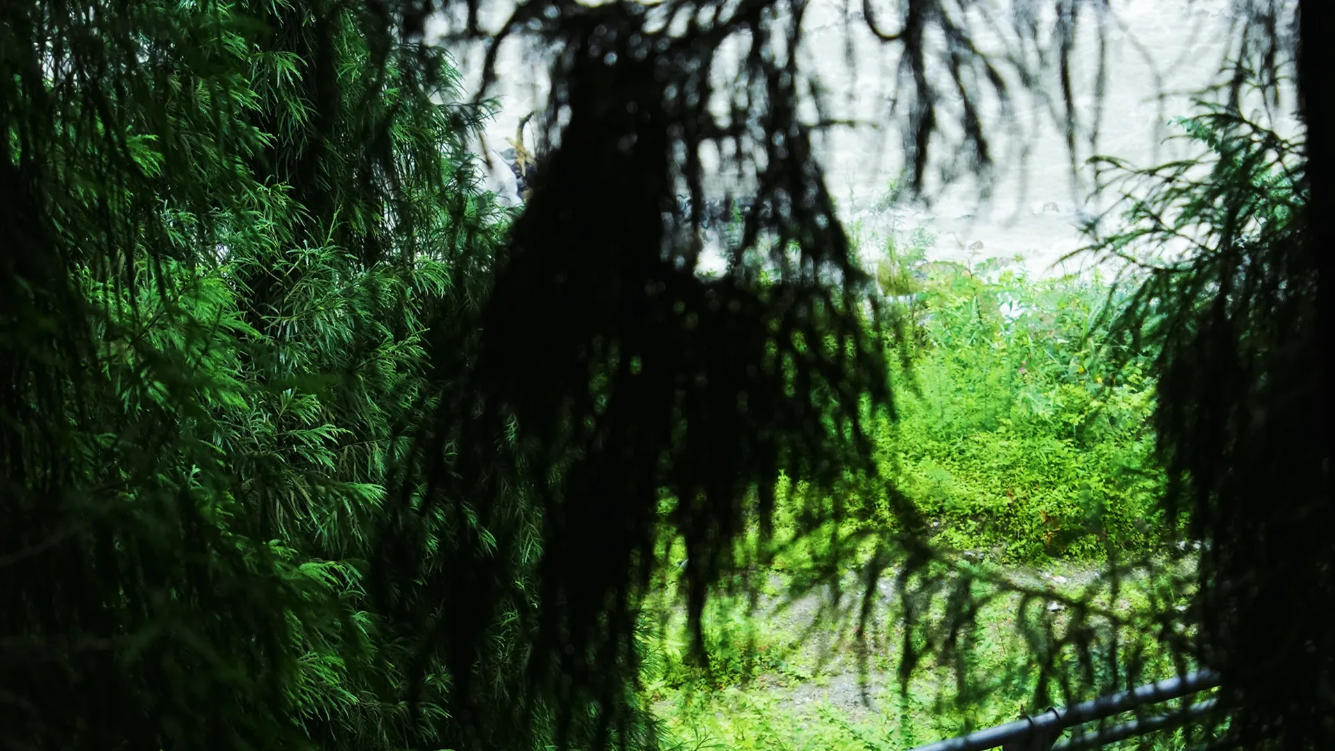 ESG