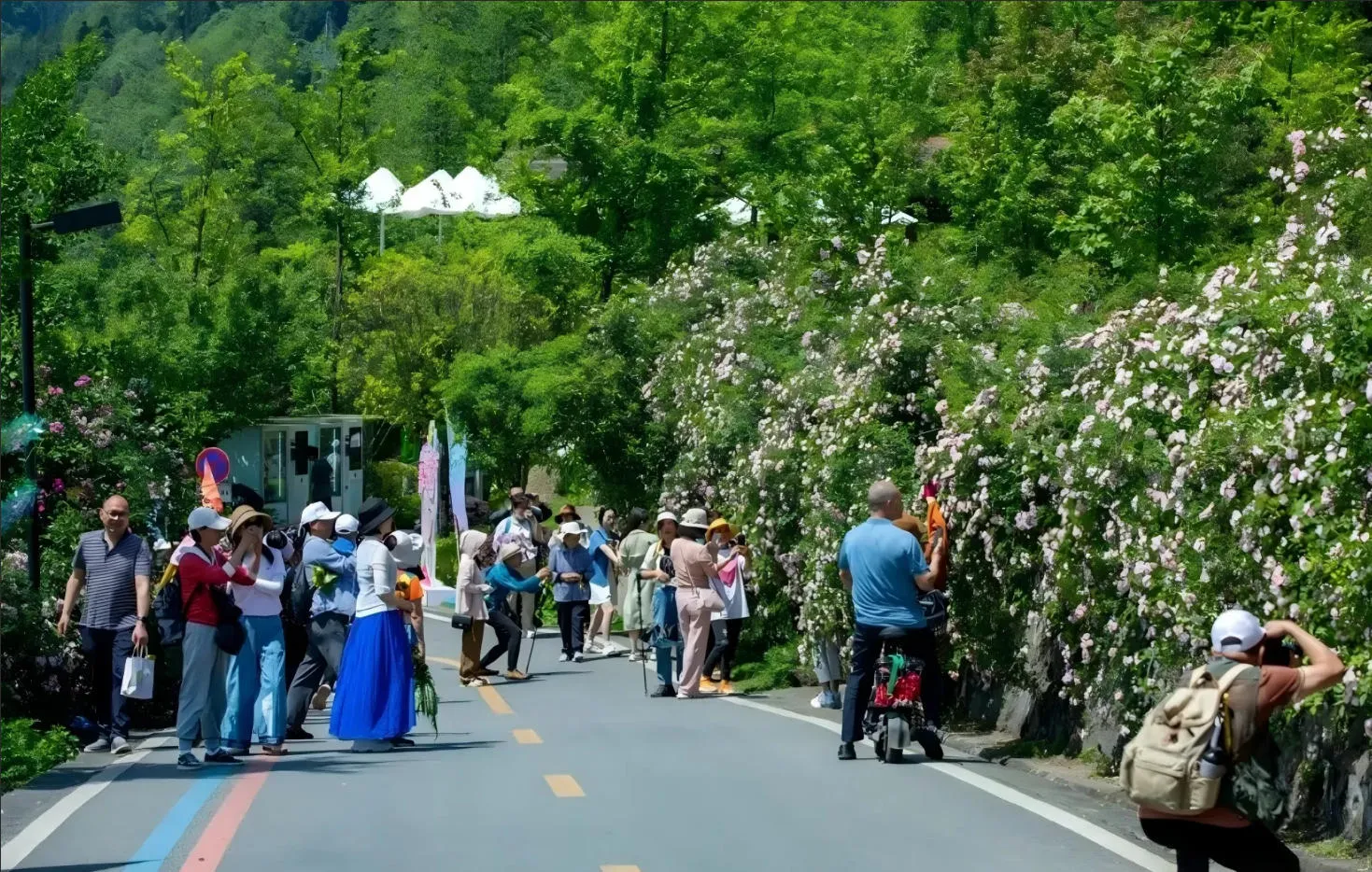11th Baoshan Rose Season